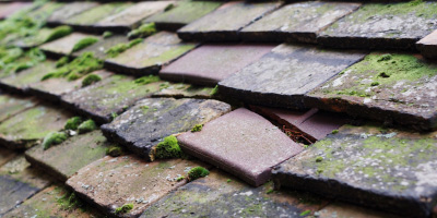 Brynsiencyn roof repair costs